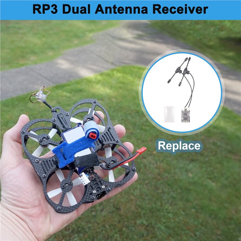 BEDW-RP3 Dual Antenne Ontvange - Antenna 2.4Ghz recensie en prijs